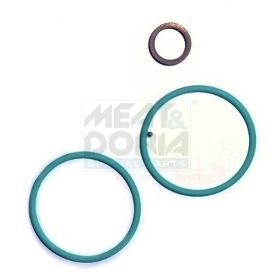 Meat Doria Injector reparatieset 9552