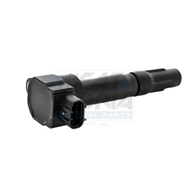 Meat Doria Bobine 10800