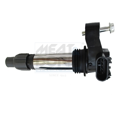 Meat Doria Bobine 10813E