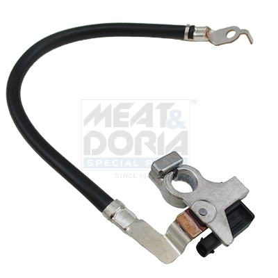Meat Doria Accumanagement sensor 241001