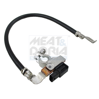 Meat Doria Accumanagement sensor 241008