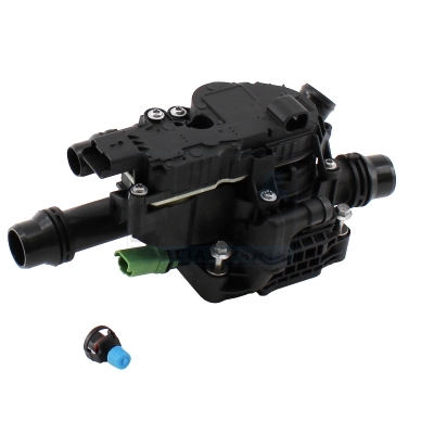 Meat Doria Thermostaathuis 92978