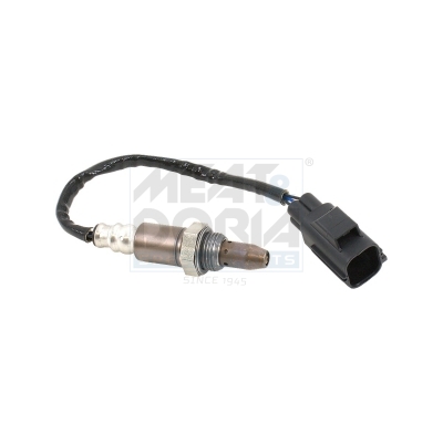 Meat Doria Lambdasonde 811129