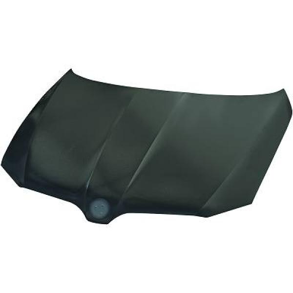 Diederichs Motorkap 7841100