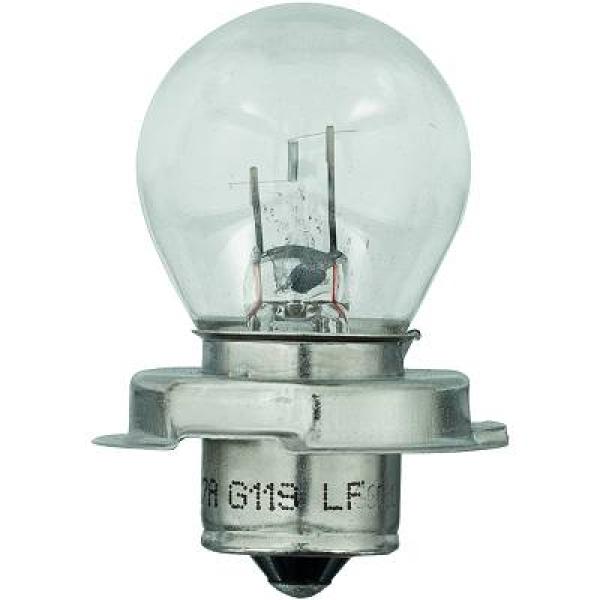 Diederichs Gloeilamp, koplamp LID10052