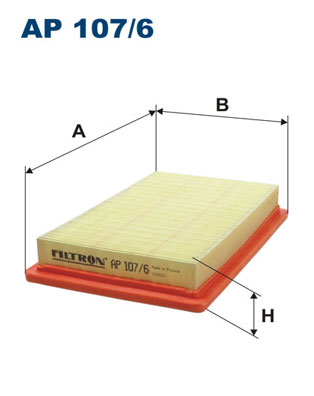 Filtron Luchtfilter AP 107/6