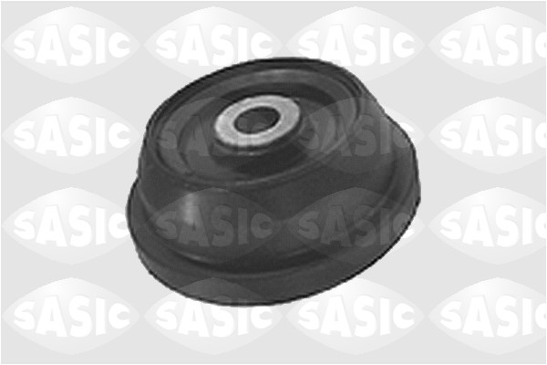 Sasic Veerpootlager & rubber 1615235