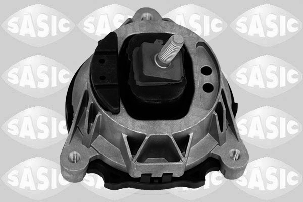 Sasic Motorsteun 2706492