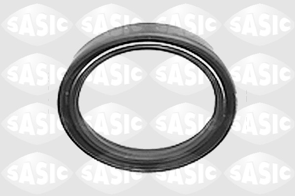 Sasic Wielnaaf keerring 3463063