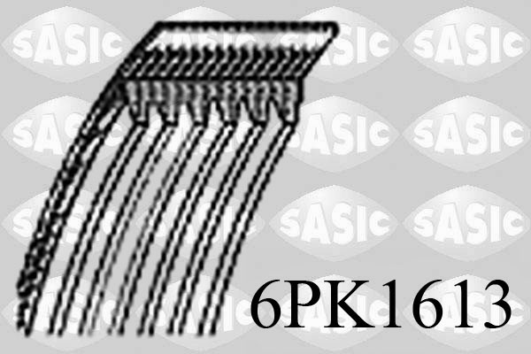 Sasic Poly V-riem 6PK1613