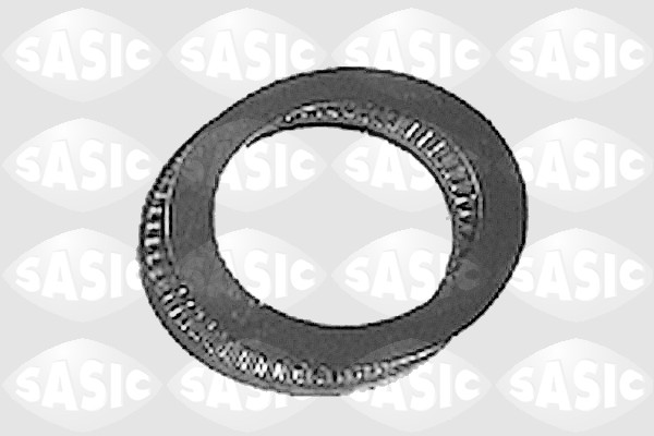 Sasic Veerpootlager & rubber 8005200