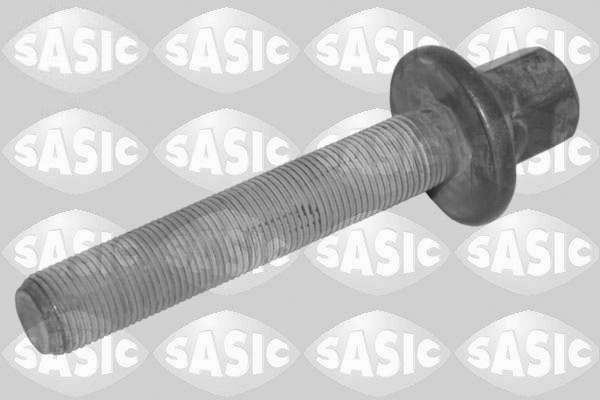 Sasic Riemschijfschroef 8706031