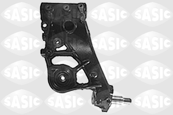 Sasic Draagarm 9005152