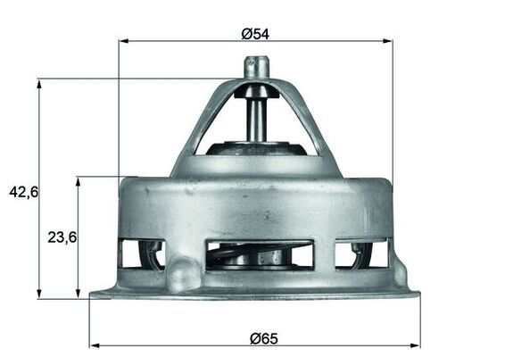 Mahle Original Thermostaat TX 2 79