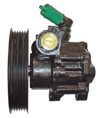 Lizarte Servopomp 04.13.0083-1