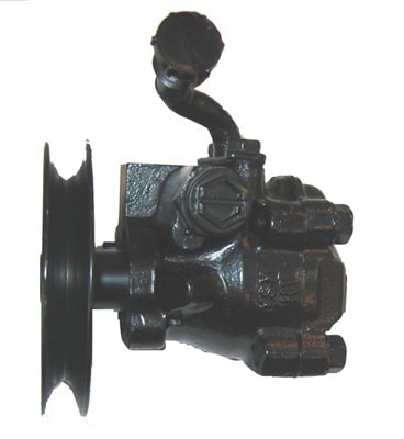 Lizarte Servopomp 04.76.0420