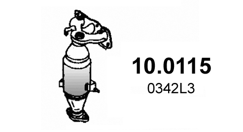 Asso Katalysator 10.0115