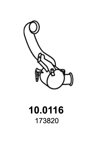 Asso Katalysator 10.0116