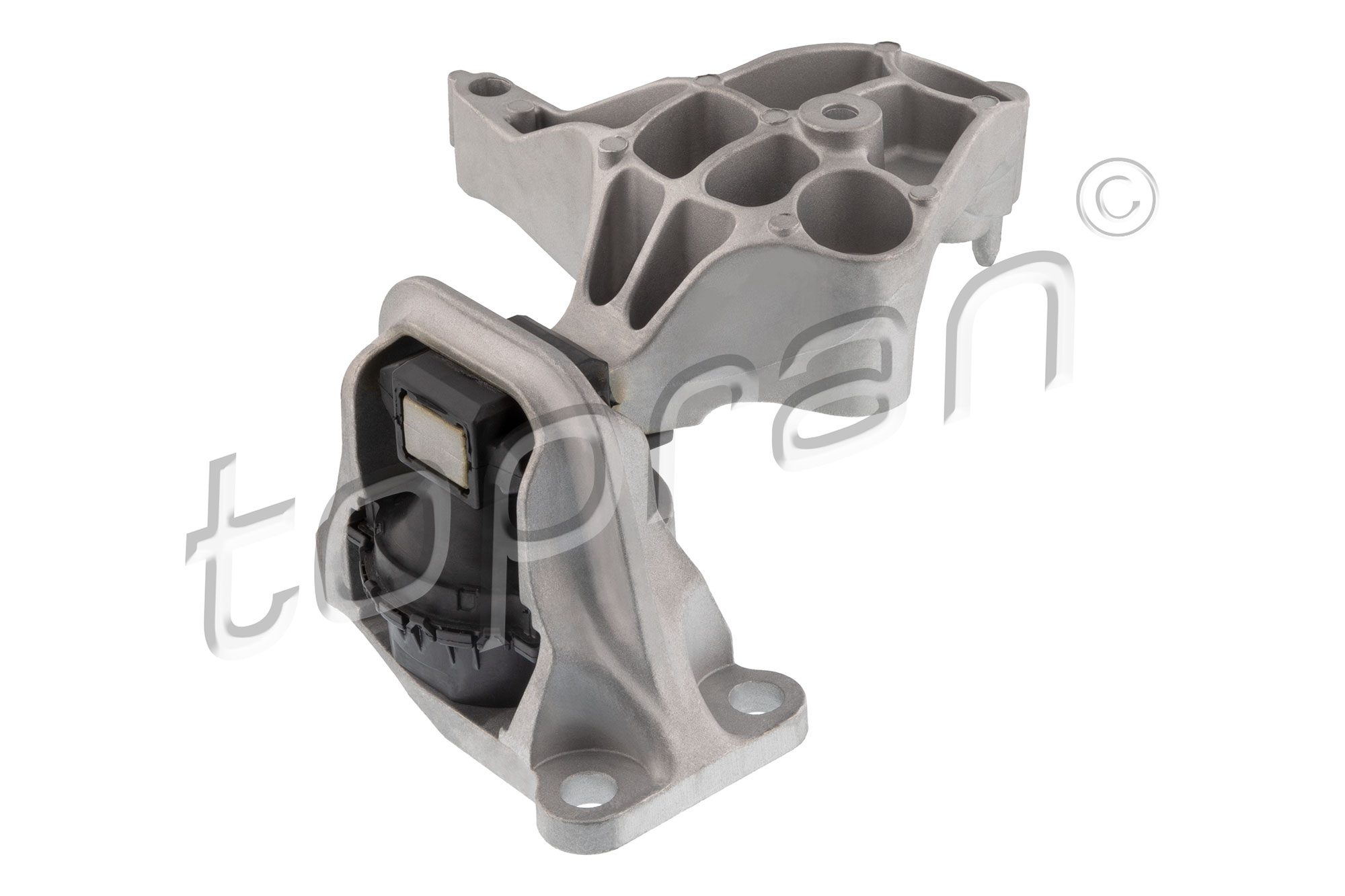 Topran Aslichaam-/motorsteunlager 700 859