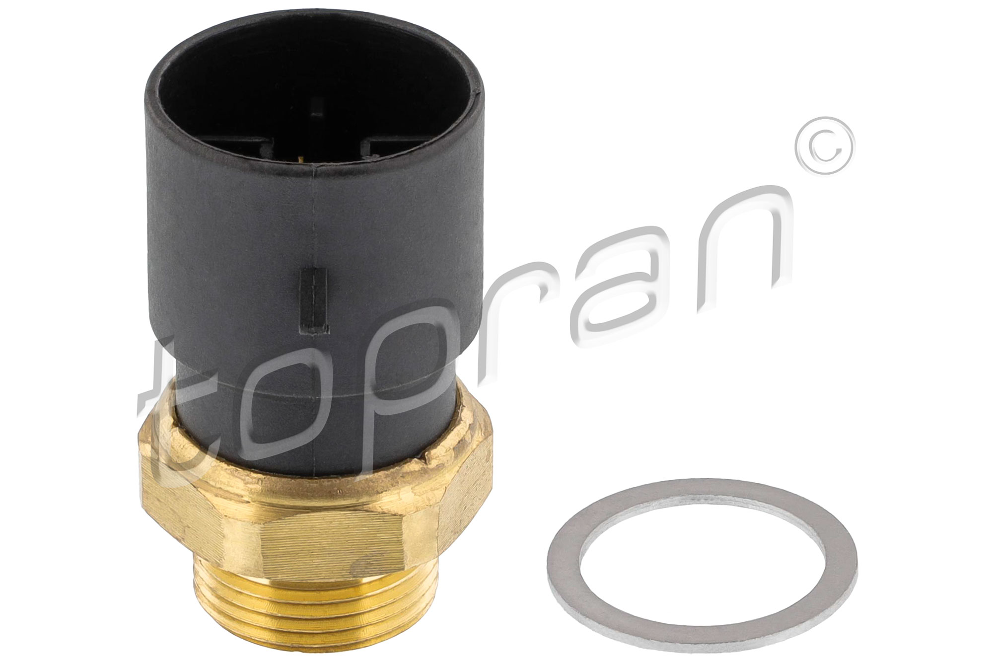 Topran Temperatuurschakelaar 205 937