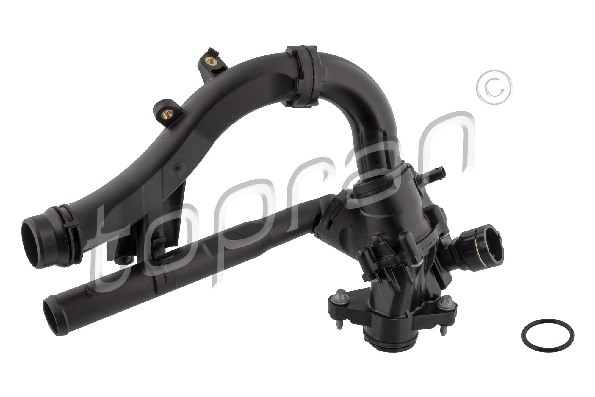 Topran Thermostaathuis 411 087