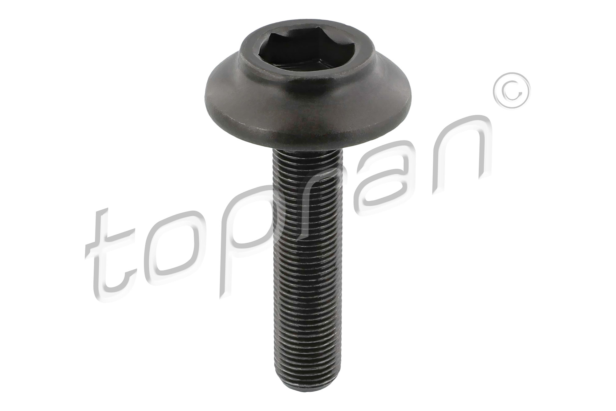 Topran Asschroef, aandrijfas / cardanas 120 979