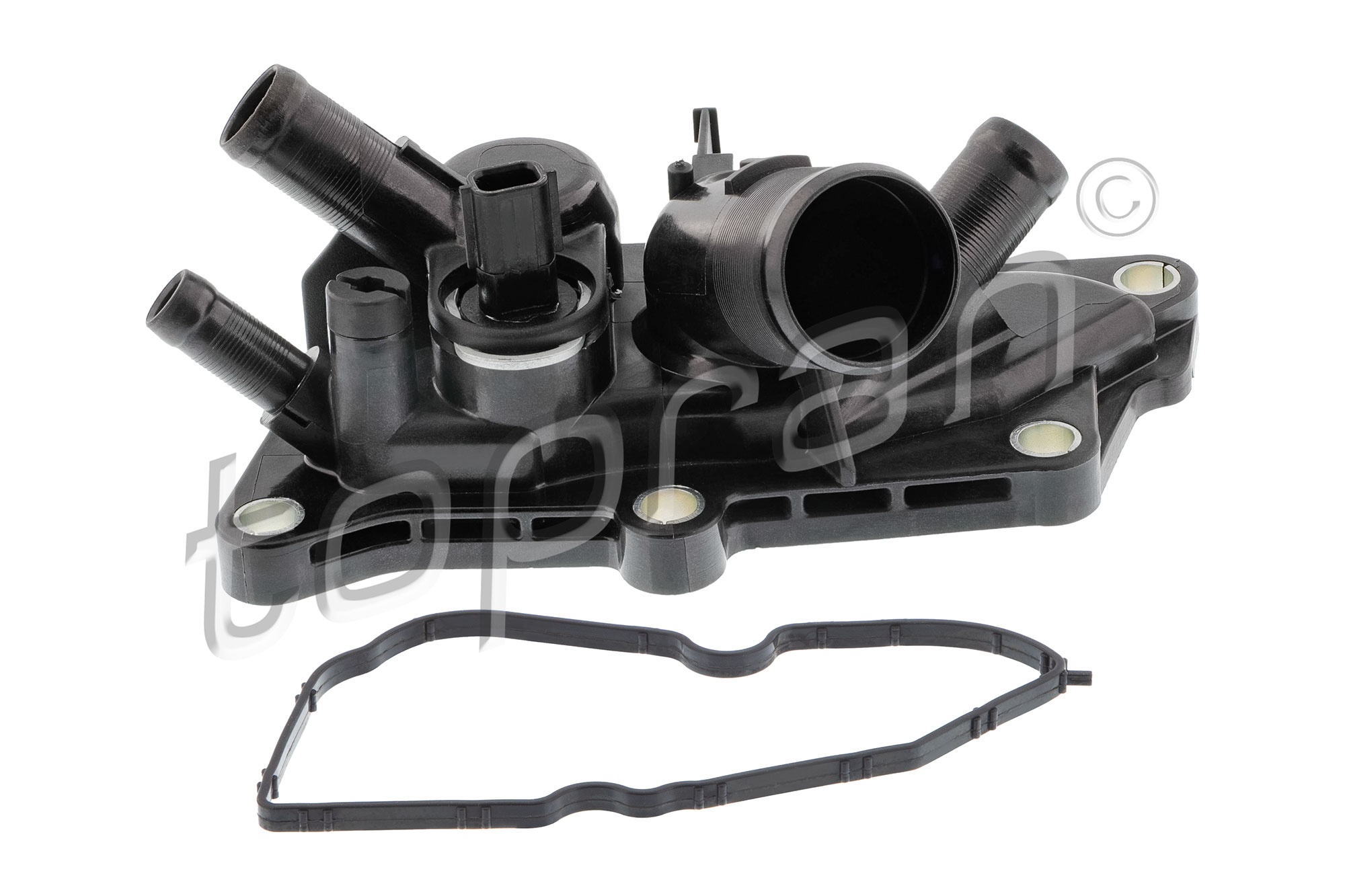 Topran Thermostaathuis 702 853