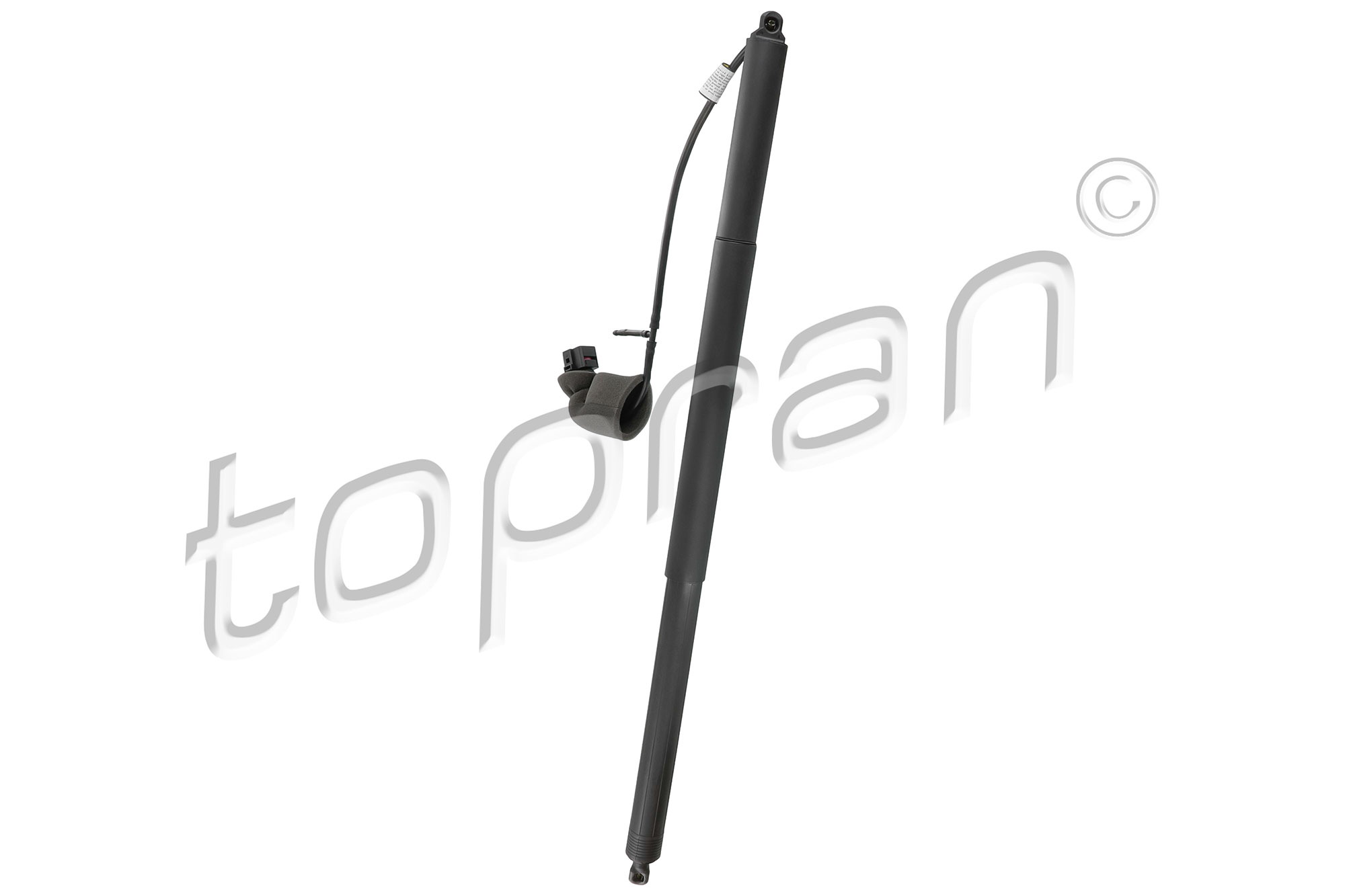 Topran Elektromotor, achterklep 121 007