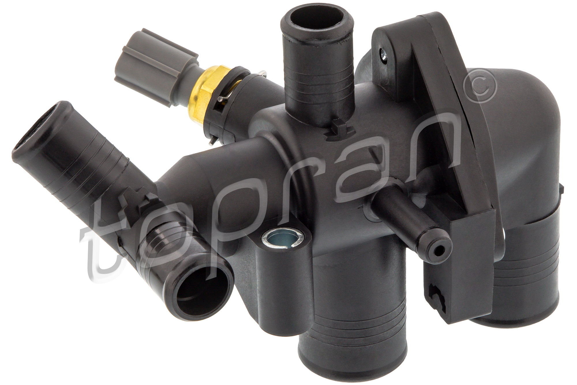 Topran Thermostaathuis 306 219