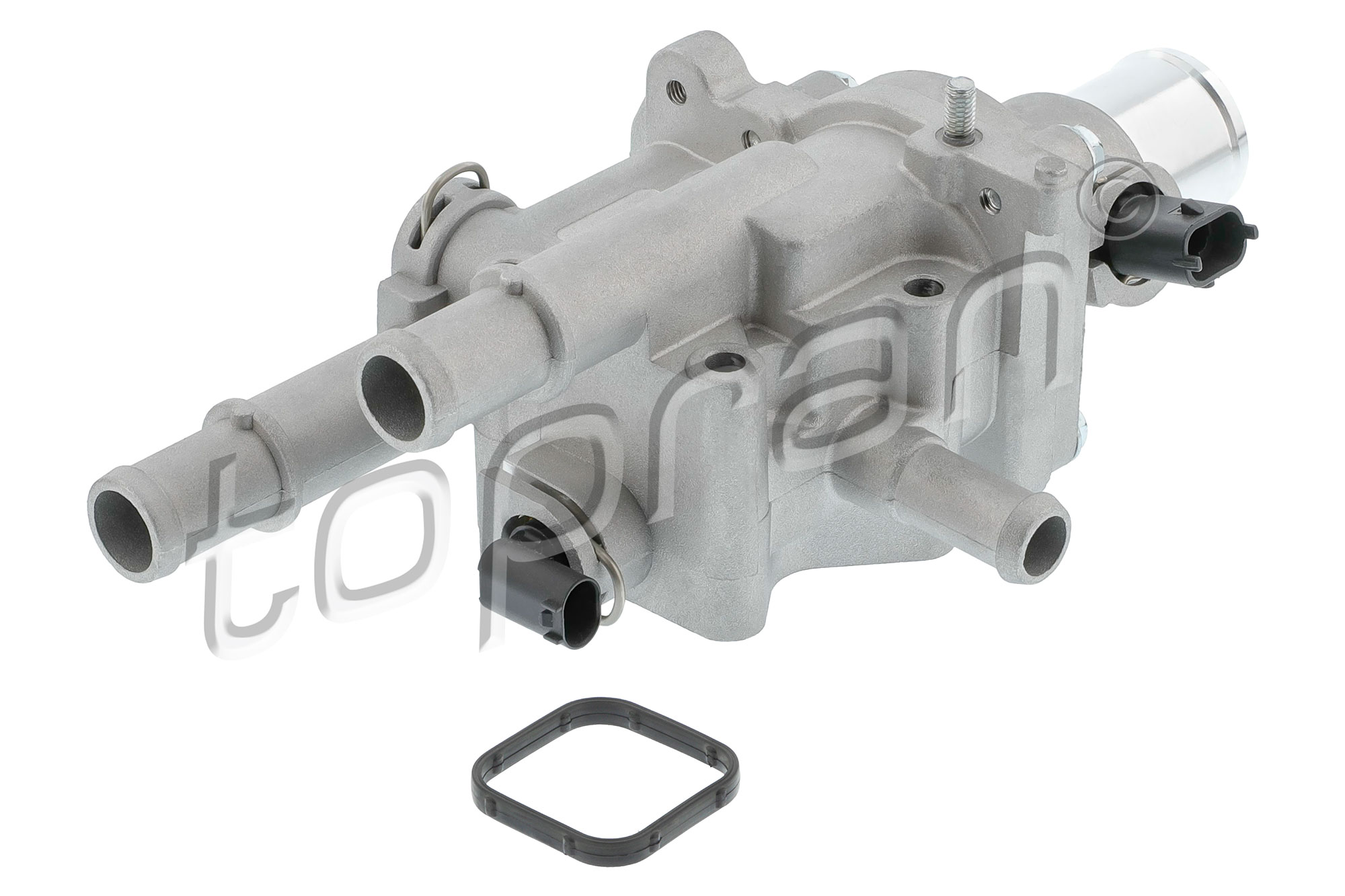 Topran Thermostaathuis 208 743