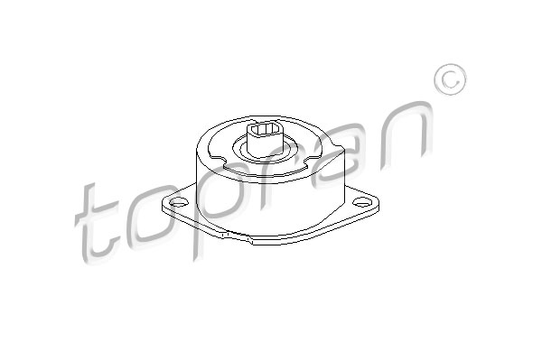 Topran Spanner poly V-riem 113 205