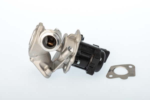 Borgwarner EGR-klep 711020D