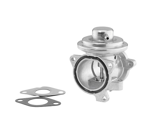 Borgwarner EGR-klep 7271D