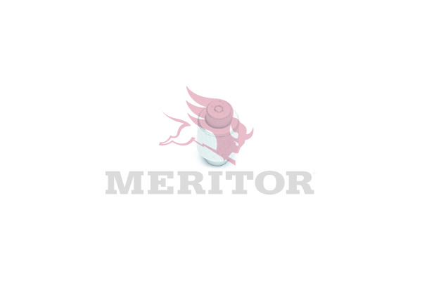 Meritor Rem montageset 21006610