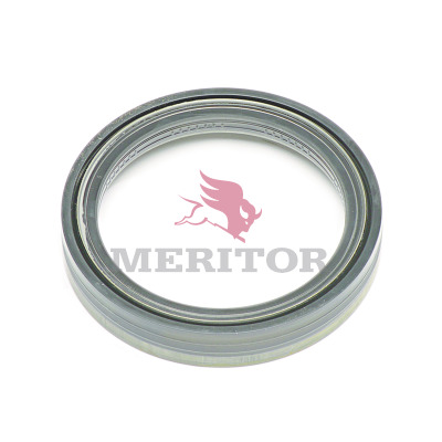 Meritor Afdichtring remschoen 21200321A