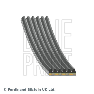 Blue Print Poly V-riem AD06A987