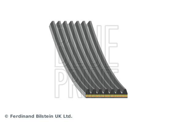 Blue Print Poly V-riem AD07A1457