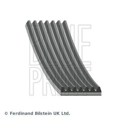 Blue Print Poly V-riem AD07R2443