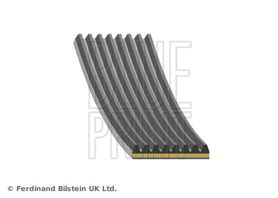 Blue Print Poly V-riem AD08A1055