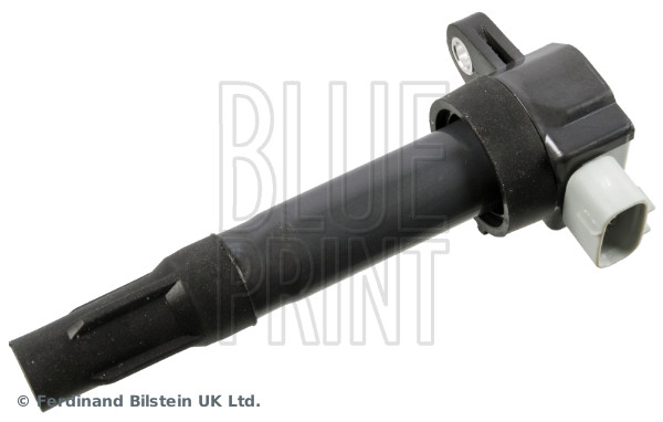 Blue Print Bobine ADBP140079