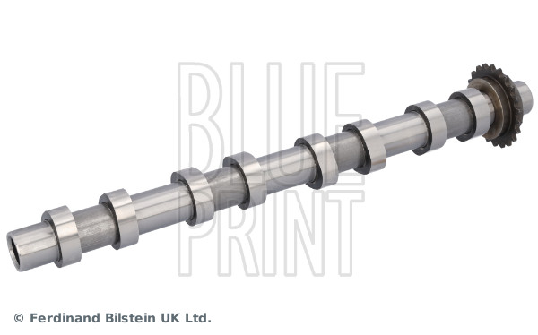 Blue Print Nokkenas ADBP610409