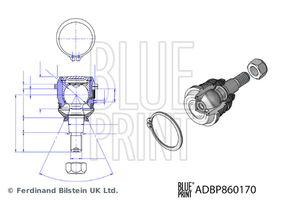 Blue Print Fuseekogel ADBP860170