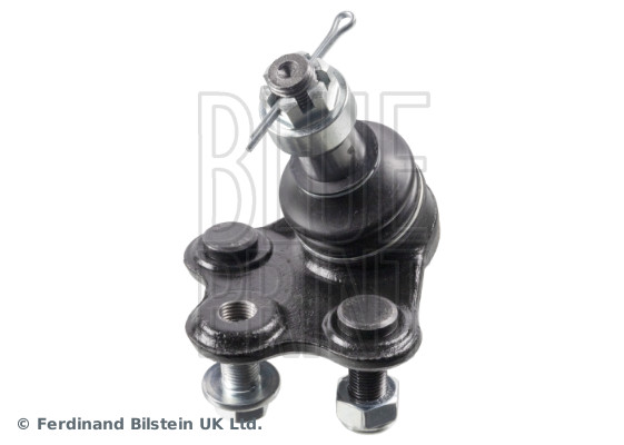 Blue Print Fuseekogel ADBP860172