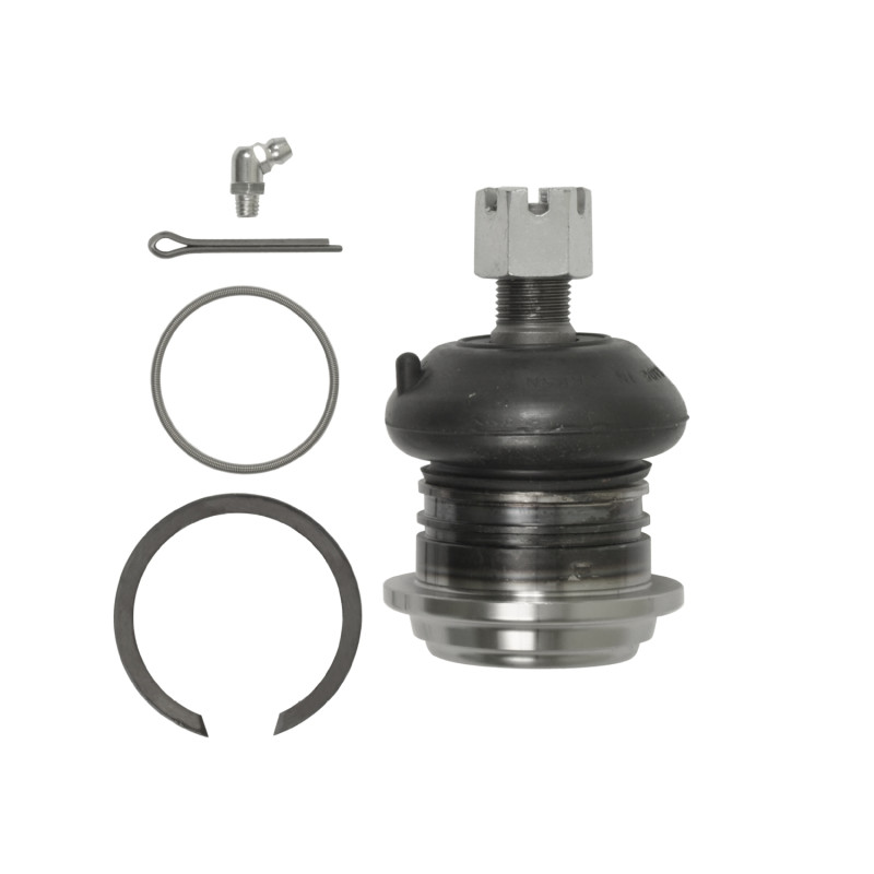 Blue Print Fuseekogel ADN18674