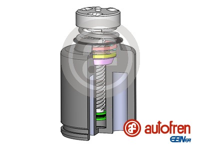 Autofren Seinsa Remzadel/remklauw zuiger D025234LK