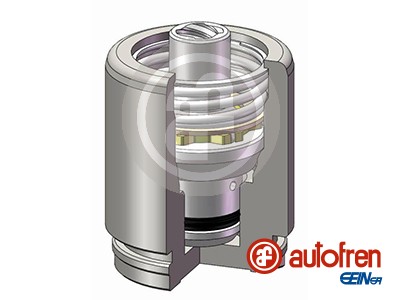 Autofren Seinsa Remzadel/remklauw zuiger D025605K