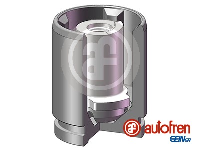 Autofren Seinsa Zuiger, remklauw D025719K1