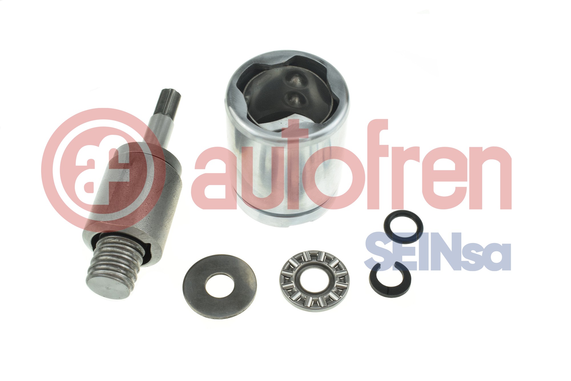 Autofren Seinsa Zuiger, remklauw D025748K1