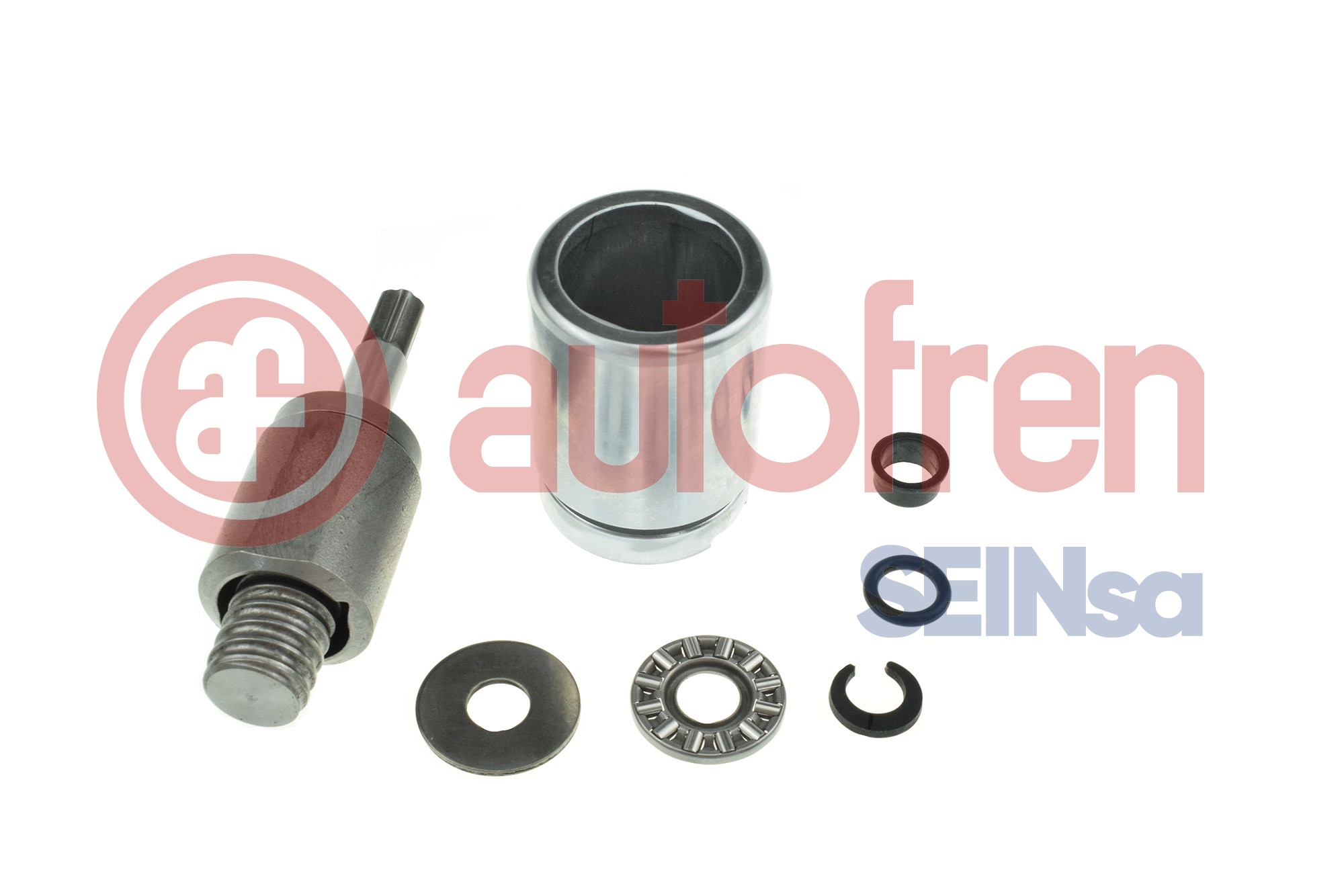 Autofren Seinsa Zuiger, remklauw D025902K1