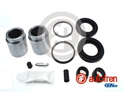 Autofren Seinsa Remklauw revisie D41907C